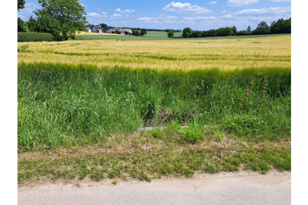 Wielmoża, Sułoszowa, Działka na sprzedaż