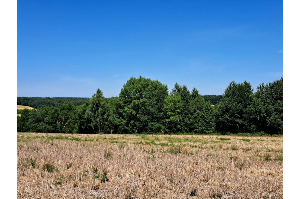 Iwanowice Włościańskie, Iwanowice, Działka na sprzedaż