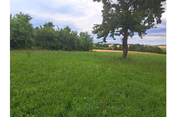 krakowski, Skała, Poręba Laskowska, Okolice Krakowa, gmina Skała, dz. bud o pow. 9,6 a