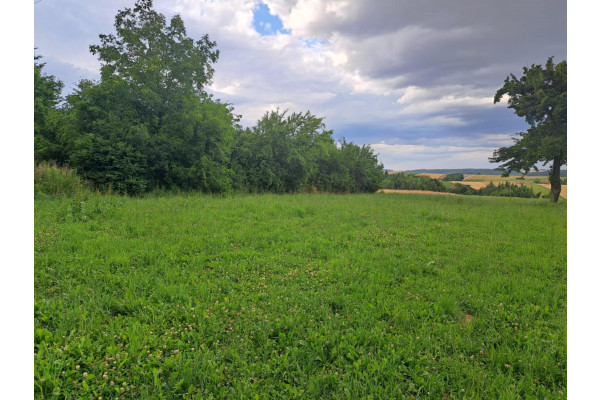 krakowski, Skała, Poręba Laskowska, Okolice Krakowa, gmina Skała, dz. bud o pow. 9,6 a