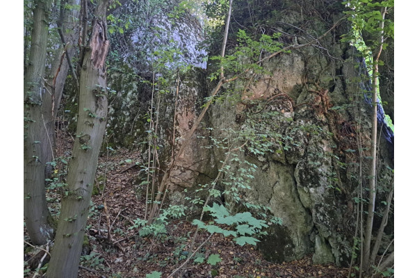 krakowski, Jerzmanowice-Przeginia, Łazy, Łazy, Dolina Będkowska, 55 a, budowlana