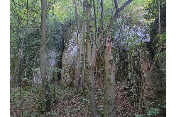 krakowski, Jerzmanowice-Przeginia, Łazy, Łazy, Dolina Będkowska, 55 a, budowlana