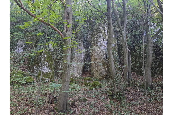 krakowski, Jerzmanowice-Przeginia, Łazy, Łazy, Dolina Będkowska, 55 a, budowlana