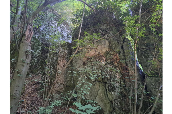 krakowski, Jerzmanowice-Przeginia, Łazy, Łazy, Dolina Będkowska, 55 a, budowlana