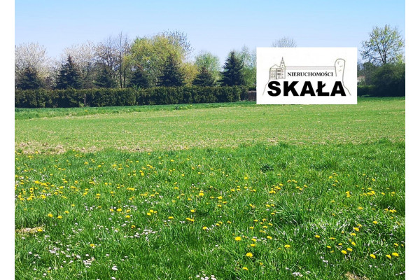 małopolskie, krakowski, Skała, Rzeplin, Rzeplin/Skała dz. bud 16 ar.