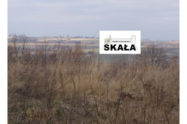 małopolskie, miechowski, Gołcza, Czaple Wielkie, Czaple Wielkie, gmina Gołcza dz. bud - rol 26 a