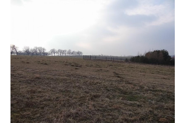 małopolskie, krakowski, Skała, Minoga, Działka na sprzedaż