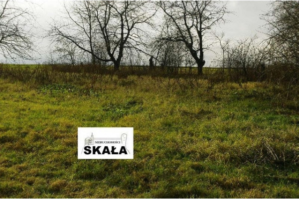 małopolskie, krakowski, Iwanowice, Krasieniec Zakupny, Krasieniec Zakupny, gmina Iwanowice