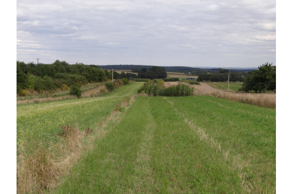 małopolskie, krakowski, Skała, Skała, dz. bud. o pow. około 76 a.