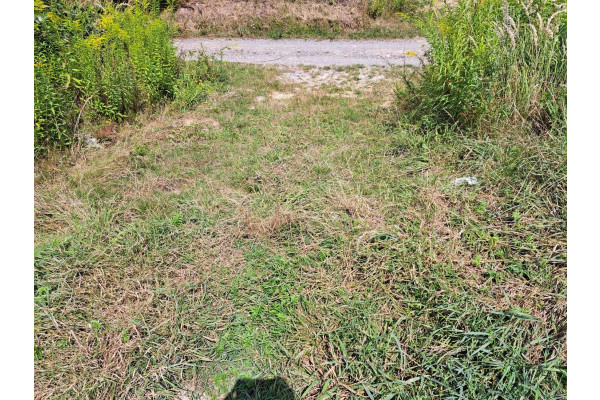 krakowski, Skała, Skała/Ojców, Skała, okolice Ojcowskiego Parku Narodowego.