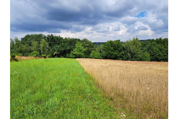 małopolskie, krakowski, Skała, Świńczów, Niebyła Świńczów, dz. 7 a. Do Krakowa około 12km