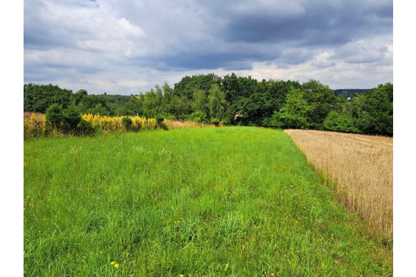 krakowski, Skała, Świńczów, Niebyła Świńczów, dz. 7 a. Do Krakowa około 12km