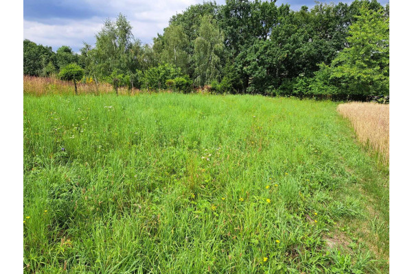 krakowski, Skała, Świńczów, Niebyła Świńczów, dz. 7 a. Do Krakowa około 12km