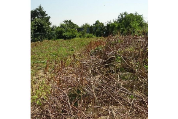 małopolskie, krakowski, Skała, Skała/centrum, Działka na sprzedaż