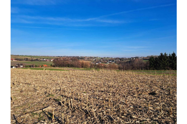 małopolskie, krakowski, Skała, Cianowice, Cianowice 12 a