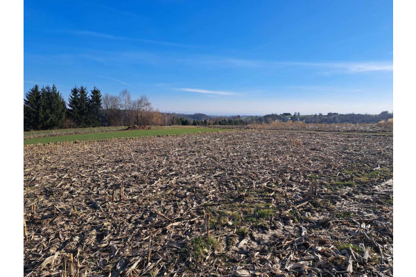 krakowski, Skała, Cianowice, Cianowice 12 a