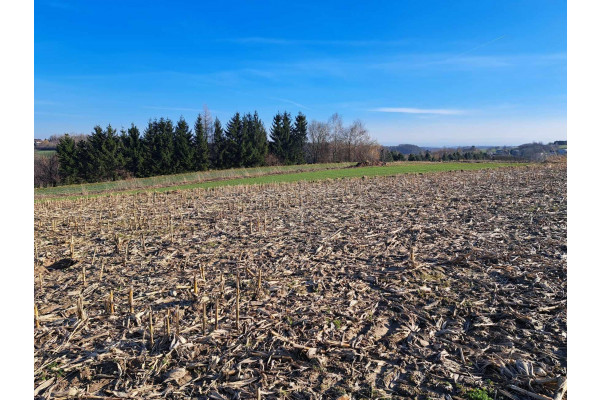 krakowski, Skała, Cianowice, Cianowice 12 a