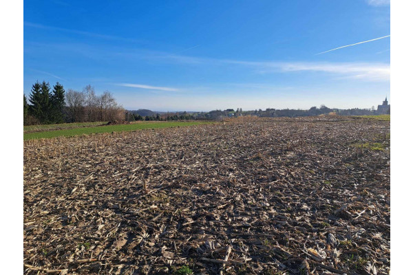 krakowski, Skała, Cianowice, Cianowice 12 a