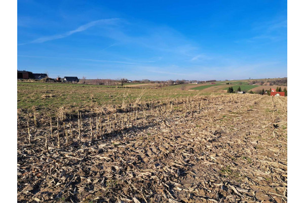 krakowski, Skała, Cianowice, Cianowice 12 a