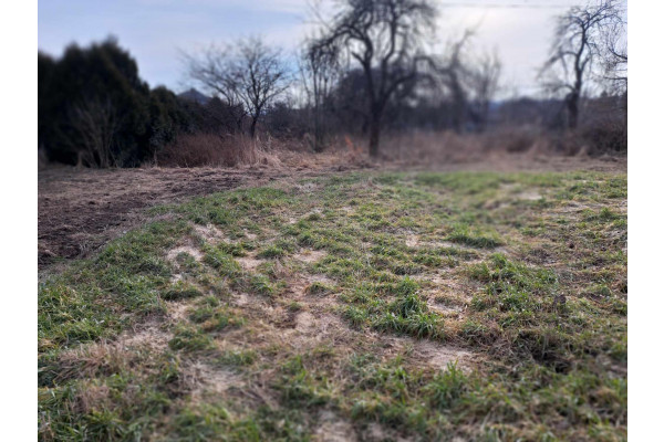 krakowski, Skała, Cianowice, Cianowice, gmina Skała, działa budowlana 12,5 a.