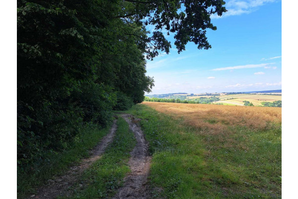 krakowski, Iwanowice, Iwanowice Dworskie, Okolice Iwanowic, dz. 56 a.