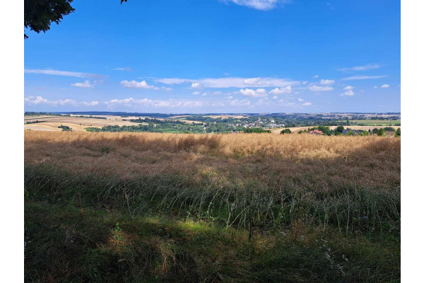 krakowski, Iwanowice, Iwanowice Dworskie, Okolice Iwanowic, dz. 56 a.