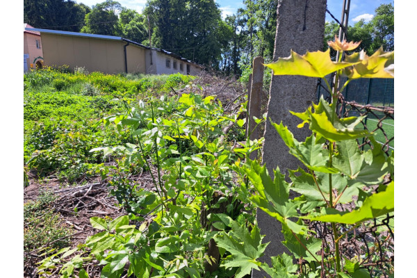 krakowski, Słomniki, Działka usługowa Słomniki