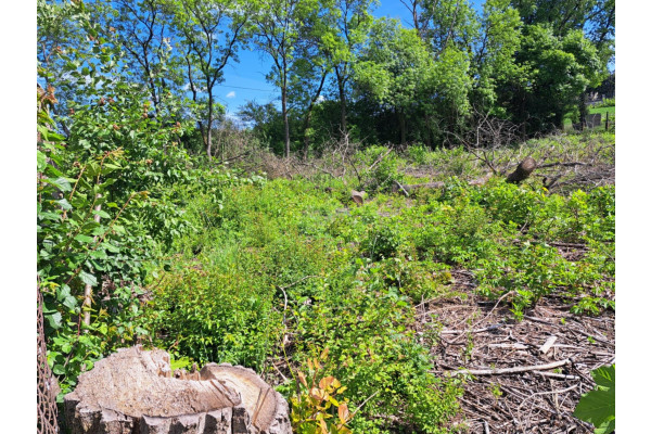 krakowski, Słomniki, Działka usługowa Słomniki