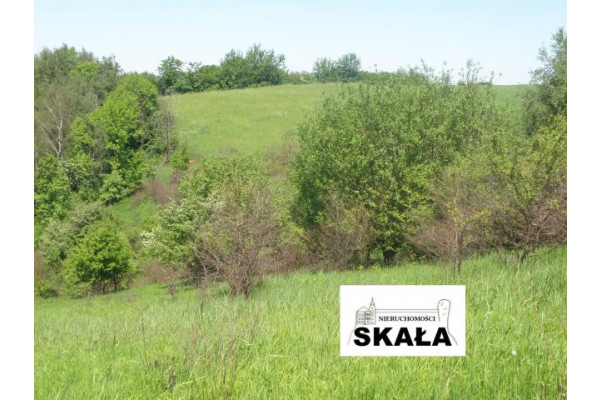 małopolskie, krakowski, Skała, Nowa Wieś, Nowa Wieś, gmina Skała