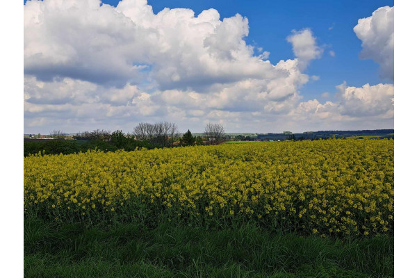 krakowski, Skała, Przybysławice, Piękna działka 18 km od Krakowa. Przybysławice, gmina Skała.