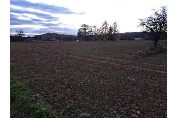 krakowski, Iwanowice, Krasieniec Stary, Krasieniec Stary, okolice Krakowa, działka 11 a, budowlana