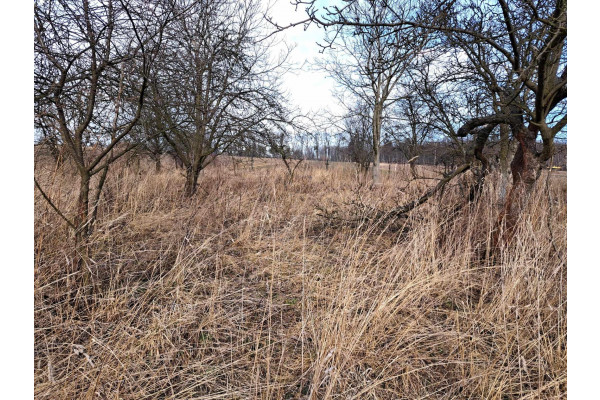 małopolskie, krakowski, Skała, Barbarka, Dz. budowlano-rolna, 40 a, okolice Krakowa