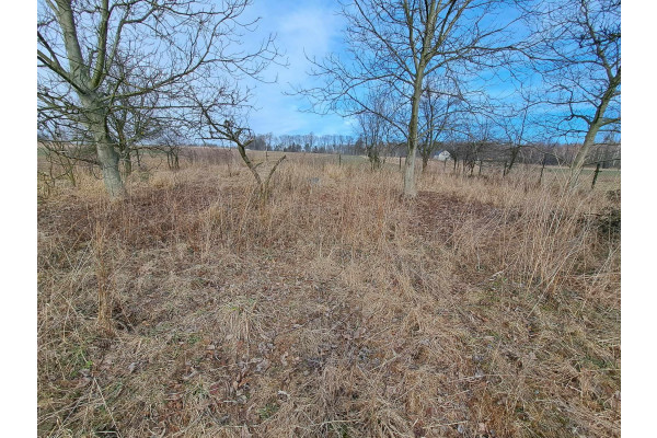 krakowski, Skała, Barbarka, Dz. budowlano-rolna, 40 a, okolice Krakowa