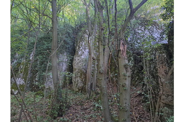 Łazy, Jerzmanowice-Przeginia, Działka na sprzedaż