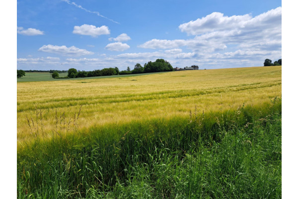 małopolskie, krakowski, Sułoszowa, Okolice Krakowa, Pieskowej Skały, dz. bud. 8 a.