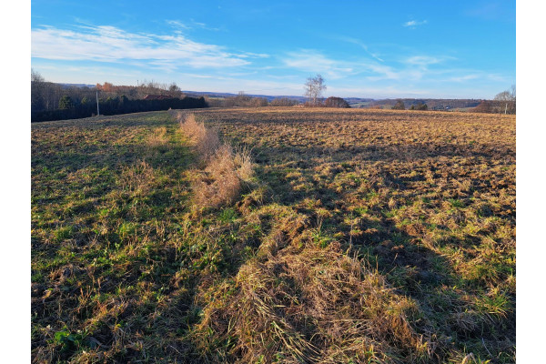 małopolskie, krakowski, Iwanowice, Iwanowice Włościańskie, Sułkowice, Iwanowice/Sułkowice, okolice Krakowa, 1 ha, budowlane