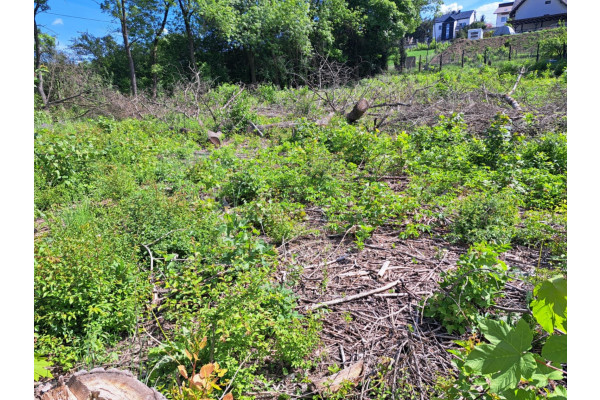 małopolskie, krakowski, Słomniki, Działka usługowa Słomniki