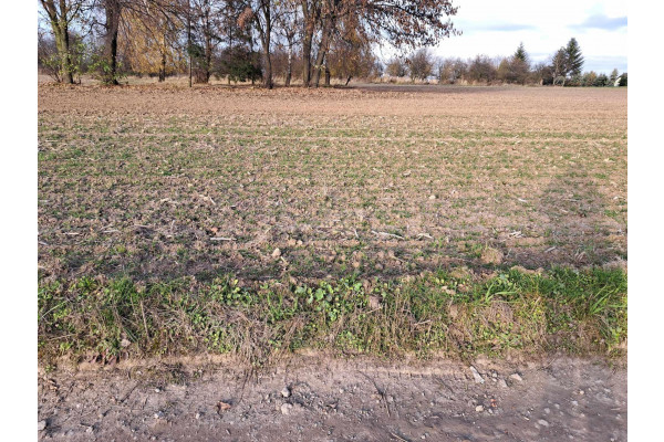 małopolskie, krakowski, Iwanowice, Krasieniec Stary, Krasieniec Stary, okolice Krakowa, działka 11 a, budowlana