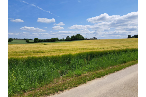 małopolskie, krakowski, Sułoszowa, Wielmoża, Okolice Krakowa,Pieskowej Skały/Ojcowa, dz.bud. 8 a