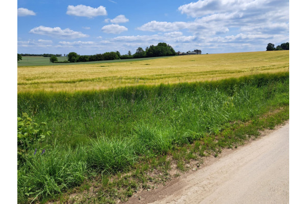 krakowski, Sułoszowa, Wielmoża, Okolice Krakowa,Pieskowej Skały/Ojcowa, dz.bud. 8 a