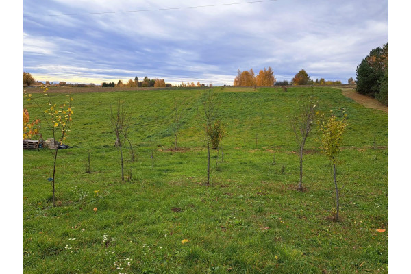 małopolskie, krakowski, Skała, Szczodrkowice, Szczodrkowice, gmina Skała, 59 ar&oacute;w, bud-rolne