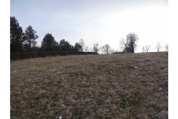 krakowski, Skała, Minoga, Działka na sprzedaż