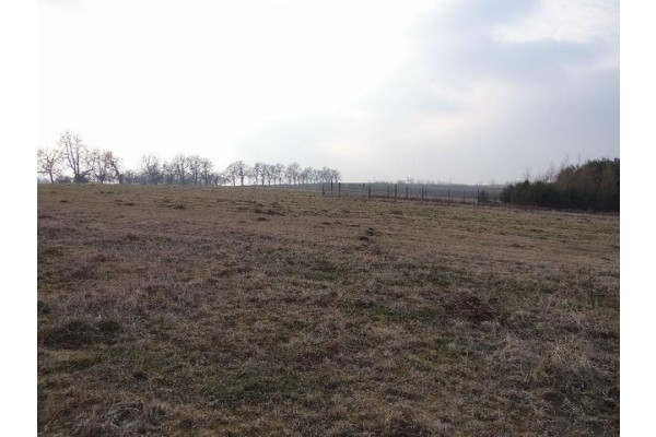 krakowski, Skała, Minoga, Działka na sprzedaż