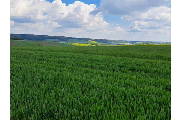 małopolskie, krakowski, Skała, Przybysławice, Piękna działka 18 km od Krakowa. Przybysławice, gmina Skała.
