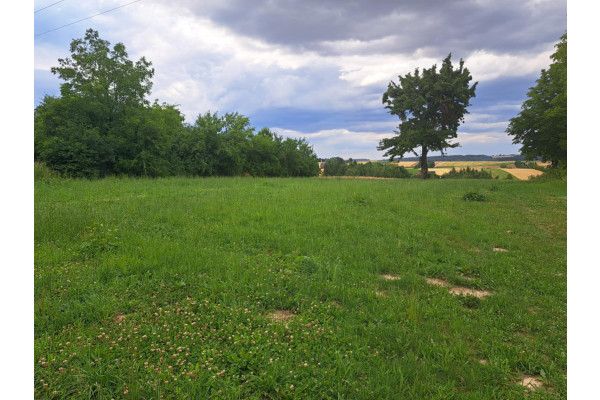 krakowski, Skała, Poręba Laskowska, Okolice Krakowa, gmina Skała, dz. bud o pow. 9,6 a
