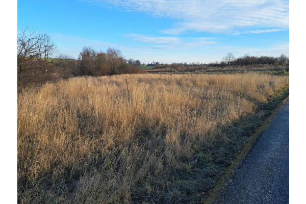 małopolskie, krakowski, Skała, Skała, okolice Ojcowa/Krakowa. Dz. 15,4 a, rolna