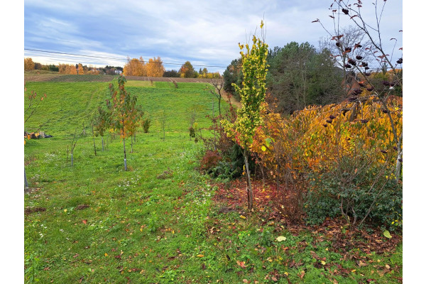 małopolskie, krakowski, Skała, Szczodrkowice, Szczodrkowice, gmina Skała, 20 a, budowlana