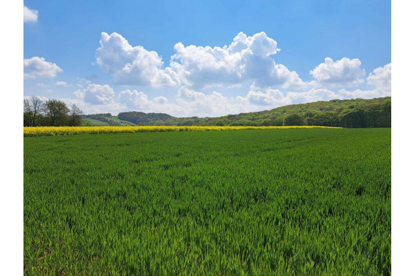 małopolskie, krakowski, Skała, Przybysławice, Piękna działka 18 km od Krakowa.