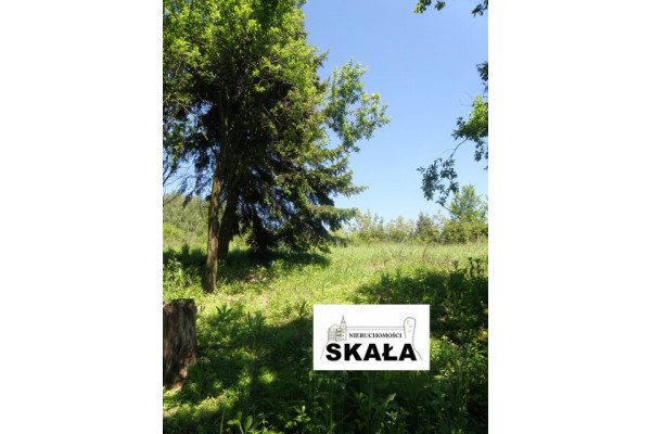krakowski, Skała, Nowa Wieś, Nowa Wieś, gmina Skała