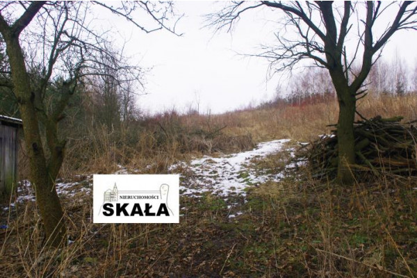krakowski, Skała, Nowa Wieś, Nowa Wieś, gmina Skała